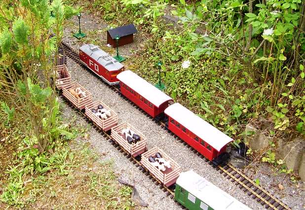 Die Gartenbahn