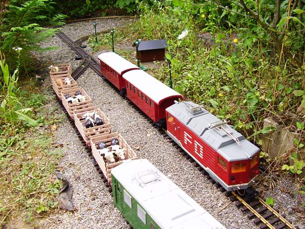 Die Gartenbahn