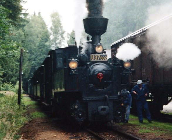 Die Gartenbahn