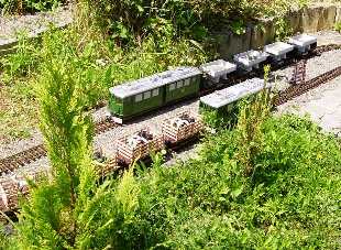 The garden railway